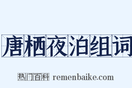 唐栖夜泊组词是什么意思的图片
